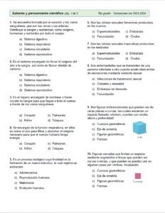 EXAMEN TRIMESTRAL 5° Primaria (Bloque 1) Ciclo 2023 - 2024 - Mundo ...